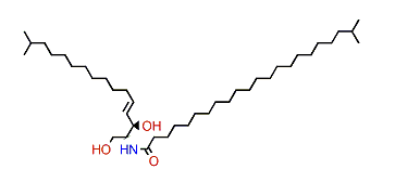 N-((E,2S,3R)-1,3-Dihydroxy-15-methylhexadec-4-en-2-yl)-tricosanamide